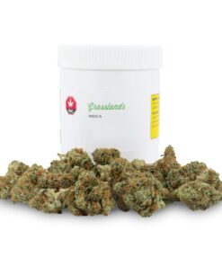 GRASSLANDS INDICA (IND) DRIED - 28G