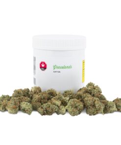GRASSLANDS SATIVA (S) DRIED - 28G