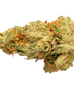 Alternative view of GRASSLANDS SATIVA (S) DRIED - 28G