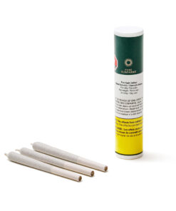 PURE SUNFARMS PINK KUSH (IND) PRE-ROLL - 0.5G X 3