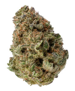 Alternative view of BAKE SALE ALL PURPOSE FLOWER INDICA (IND) DRIED - 28G