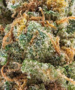 Alternative view of SPINACH GMO COOKIES (IND) DRIED - 3.5G