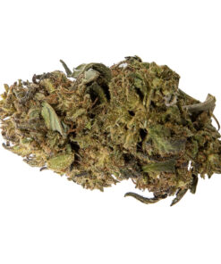 Alternative view of WHOLEHEMP PREMIUM CBD (H) DRIED - 3.5G
