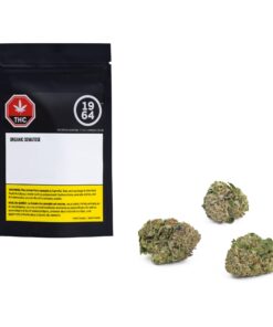 1964 COMATOSE (IND) DRIED - 3.5G