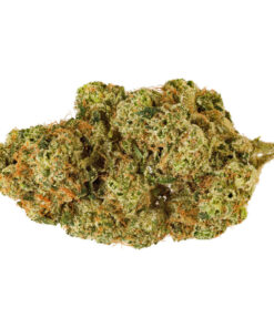 SAN RAFAEL 71 ELECTRIC HONEYDEW (H) DRIED - 3.5G