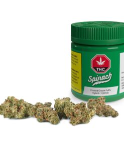Alternative view of SPINACH FROSTED CREAM PUFFS (H) DRIED - 3.5G