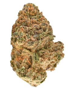 REDECAN ANIMAL RNTZ (IND) DRIED - 3.5G