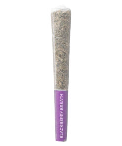 PISTOL AND PARIS BLACKBERRY BREATH (H) PRE-ROLL - 0.5G X 3