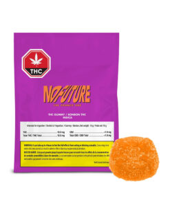NO FUTURE ORANGE (IND) CHEW - 10MG THC X 1