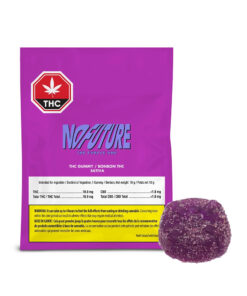 NO FUTURE PURPLE (S) CHEW - 10MG THC X 1