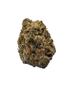 VERSUS BC PURPLE KUSH (IND) DRIED - 7G