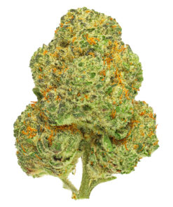 SAN RAFAEL 71 CHEMANGO KUSH (IND) DRIED - 14G