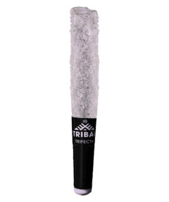 TRIBAL TRIFECTA CUBAN LINX (S) INF PRE-ROLL - 0.6G X 3