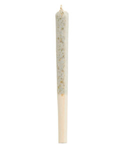 1964 COMATOSE (IND) PRE-ROLL - 0.5G X 5