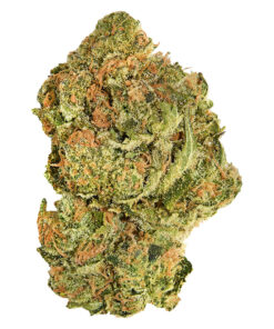GOOD SUPPLY BRAND NEW BUDS (H) DRIED - 28G