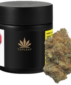 TOP LEAF SECOND BREAKFAST (IND) DRIED - 7G