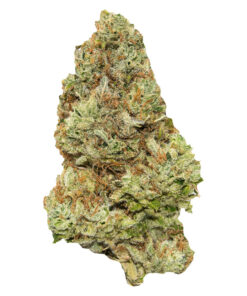 Alternative view of CONTRABAND GOLDEN TANGIE (S) DRIED - 7G
