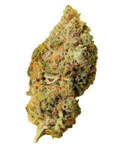 PALMETTO ORANGE BUD (IND) DRIED - 7G