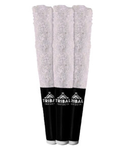 TRIBAL TRIFECTA BUBBLE UP GLSS TIP (IND) INF PRE-ROLL 0.6GX3