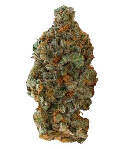 VERSUS GIRL SCOUT COOKIES (IND) DRIED - 28G