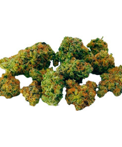 DAB BODS BOTANICAL BUDS GRAPE LIMEADE (H) DRIED - 14G