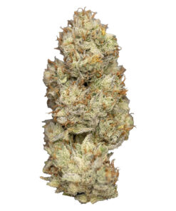 NUGZ WAGYU DELIGHT (IND) DRIED - 7G
