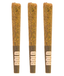 BOLD ORANGE CRUSH (S) PRE-ROLL - 0.5G X 12