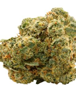SPINACH BLUE THAI (S) DRIED - 7G