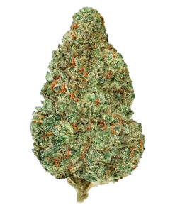 BACK FORTY CHEMZILLA (IND) DRIED - 7G