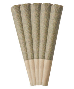 REDECAN BEACH CRASHER (S) PRE-ROLL 0.5G X 5