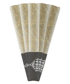 TRIBAL PORTO LECHE (H) PRE-ROLL 0.6G X 5