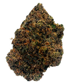POTLUCK BEAVER TAIL (IND) DRIED - 7G
