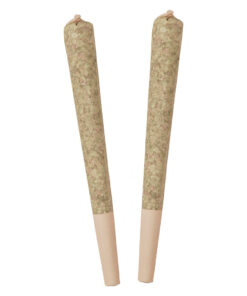 STANDARD ISSUE BING CHERRY (IND) INF PRE-ROLL - 0.5G X 2