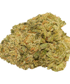 GOOD SUPPLY FACADE (H) DRIED - 7G
