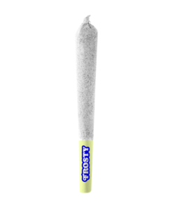 Alternative view of VERSUS FROSTY WATERMELON DMND (IND) INF PRE-ROLL - 1G X 1