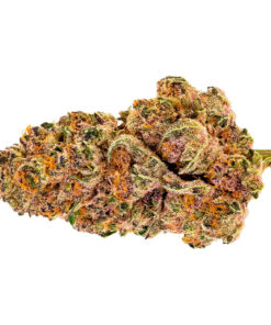PURE SUNFARMS PURPLE FOG (IND) DRIED - 7G