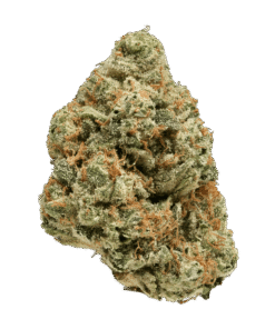 Alternative view of VERSUS SKYWLKR OG (IND) DRIED - 7G