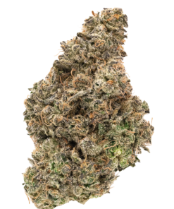 FIGR JUNGLE FUMES (S) DRIED - 3.5G