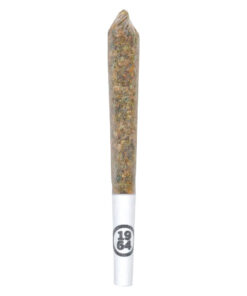 1964 TROPICANNA (S) PRE-ROLL - 0.5G X 5