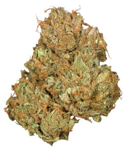 ORCHID CBD JEAN GUY CBD (S) DRIED - 3.5G