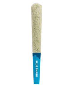 STICKY GREENS BLUE SHARK DMND COATED (S) INF PRE-ROLL 0.5GX3