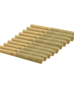 BROKEN COAST CHERRY ZTRIPEZ (IND) PRE-ROLL - 0.5G X 10