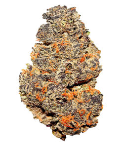 CASTLE ROCK FARMS PINK GRAPES (S) PRE-ROLL - 0.5G X 20
