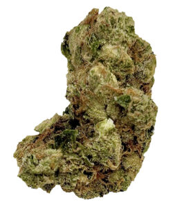 BC GREEN GARLIC HAZE (S) DRIED - 28G
