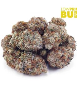 Alternative view of Watermelon Kush (AAAA)