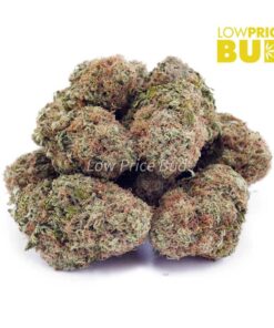 Alternative view of Strawberry Cheesecake (AAAA)