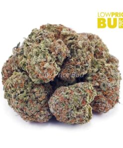 Alternative view of Super Skunk (AAAA)