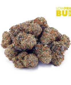 Alternative view of Amnesia Haze (AAAA)