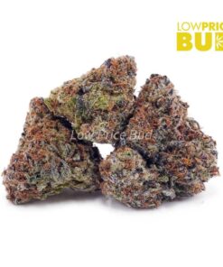 Mendo Cookies (AAAA)