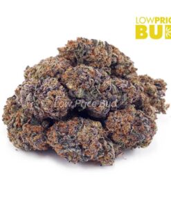 Alternative view of Grape God (Craft Cannabis)
